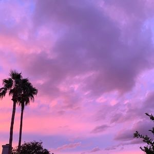 Meet your Posher, Anissa